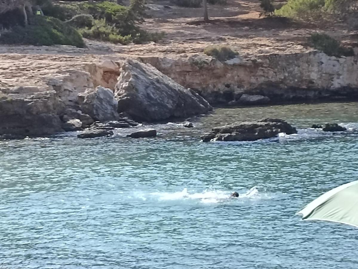 דירות Nardò Salento Mare E Arte מראה חיצוני תמונה