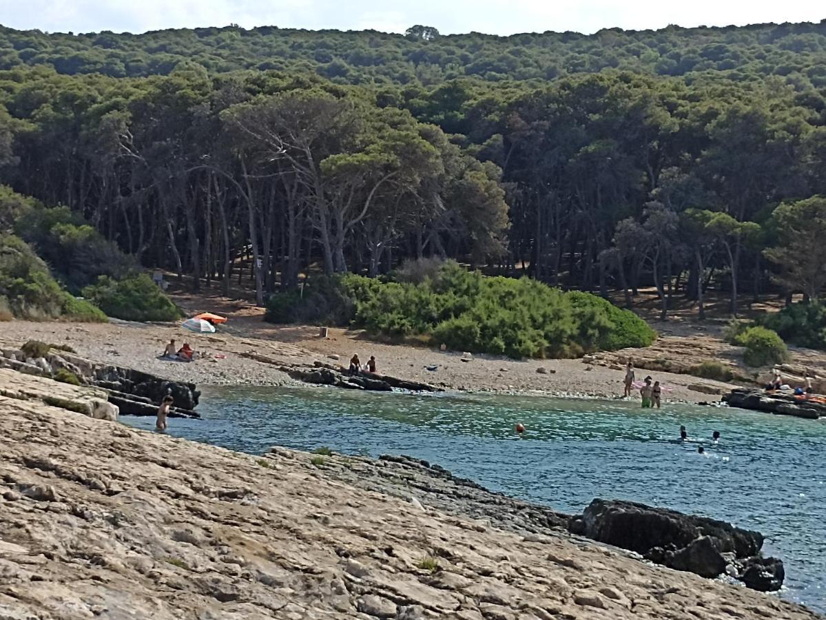 דירות Nardò Salento Mare E Arte מראה חיצוני תמונה